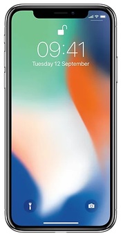 Смартфон Apple iPhone X 256GB, серый космос