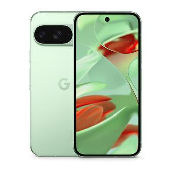 Смартфон Google Pixel 9 12/256Gb Wintergreen, Зеленый